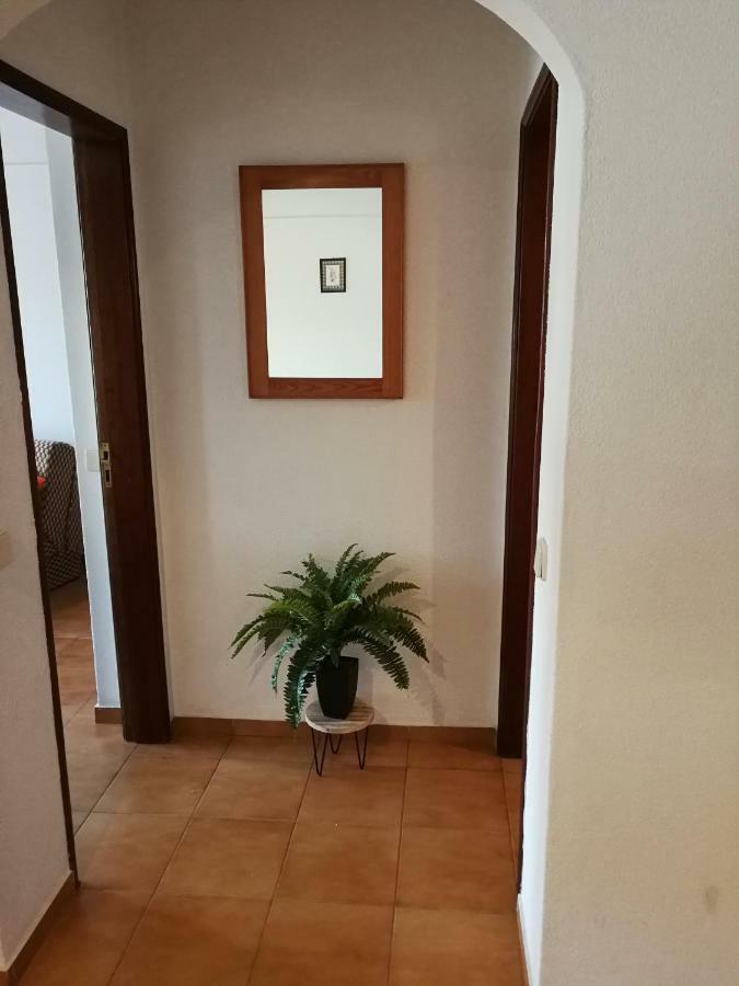 Apartment Sun Sight